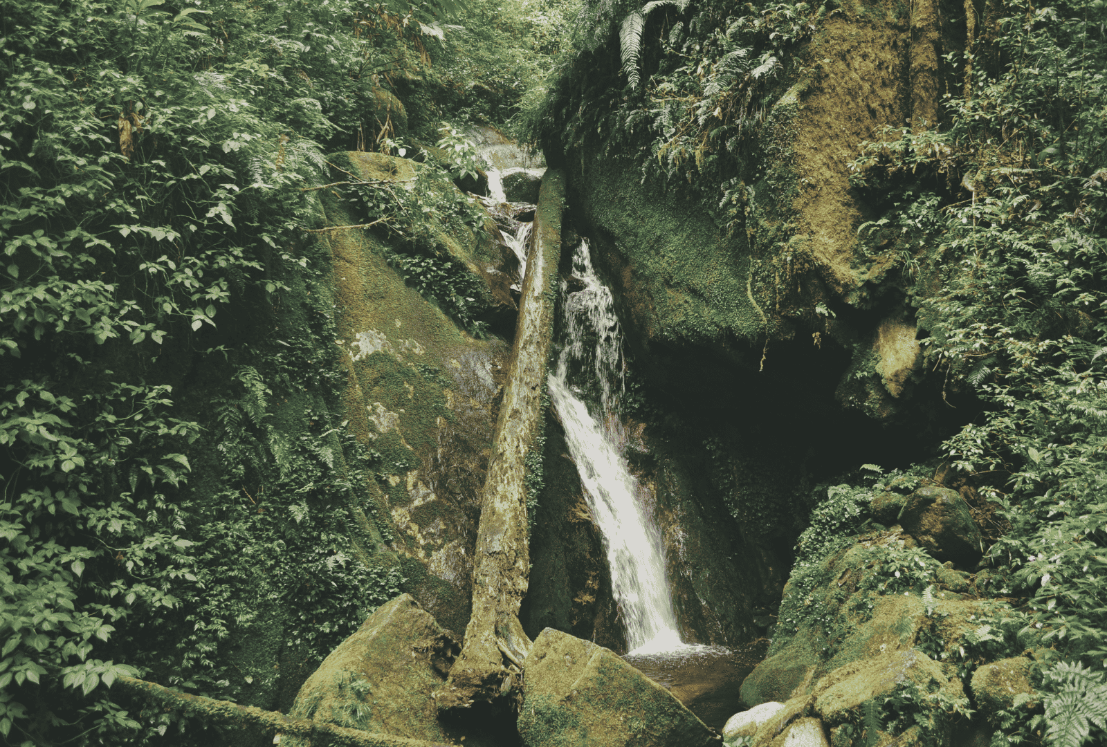 Sri Lanka 3 Day Explorer Tour Without Accommodation